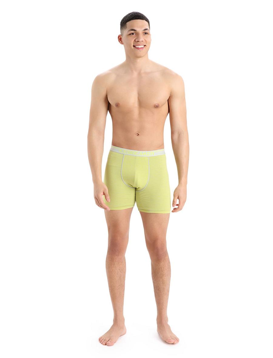 Ether / Shine Men's Icebreaker Merino Anatomica Long Boxers Underwear | USA 1283UZGT